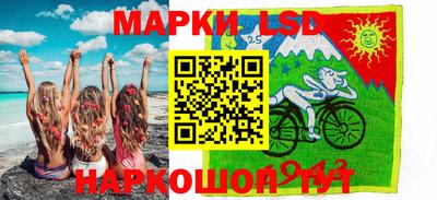 гидра Будённовск