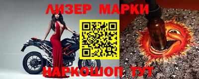 гидра Будённовск
