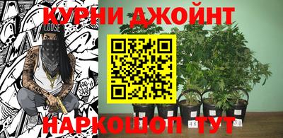 гидра Будённовск
