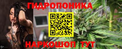 гидра Будённовск
