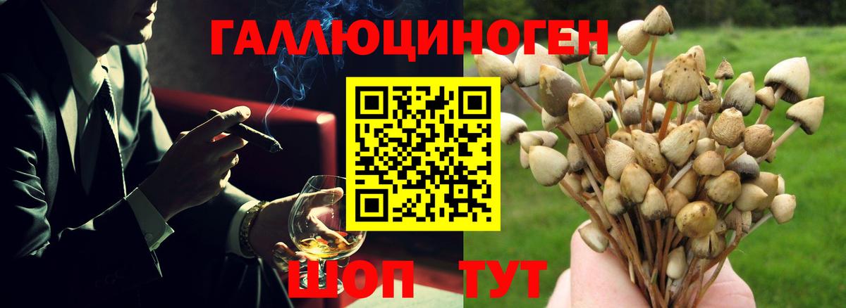 Псилоцибиновые грибы Cubensis  Псилоцибиновые грибы Psilocybe  Сердобск  Вход с VPN 